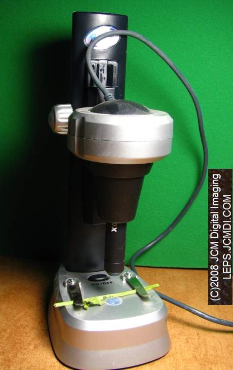 USB microscope setup used for filming the egg-hatching sequences